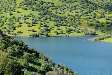 سرریز شدن سدگاران مریوان