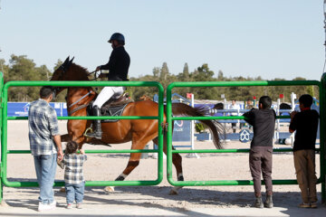 Concours de saut d'obstacles de la Metalox Cup