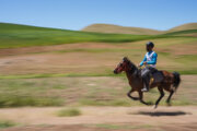 Турнир по дистанционным конным пробегам в Иране