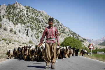 کوچ بهاره عشایر