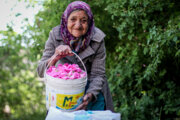 نیاز آینده ایران به شغل «مراقب سالمند»؛ دستورالعمل آن در دست تدوین است