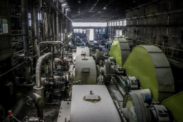 برداشت نیشکر در مزارع هفت تپه