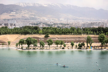 League iranienne d'aviron en eaux calmes à Téhéran