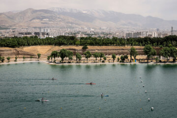 La finale de la première ligue iranienne d'aviron