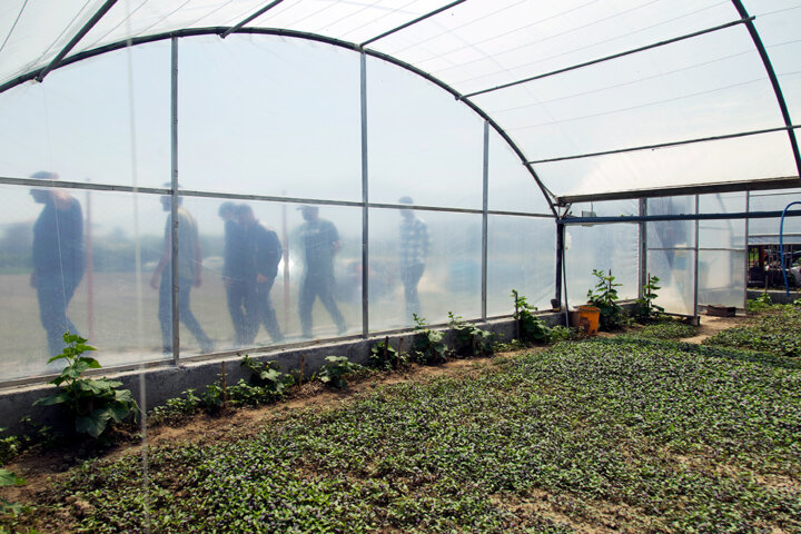 تکمیل حلقه اجرایی ۶ برنامه محوری مدیریت آب برای البرز الزامی است