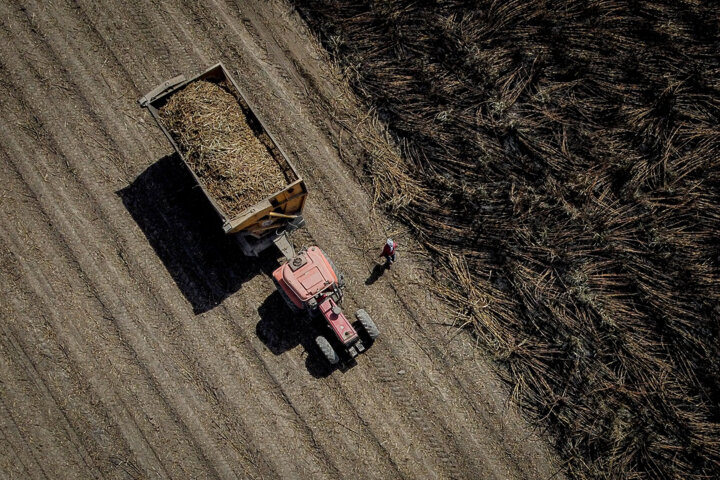 کارگران هفت تپه: آقاجان متشکریم