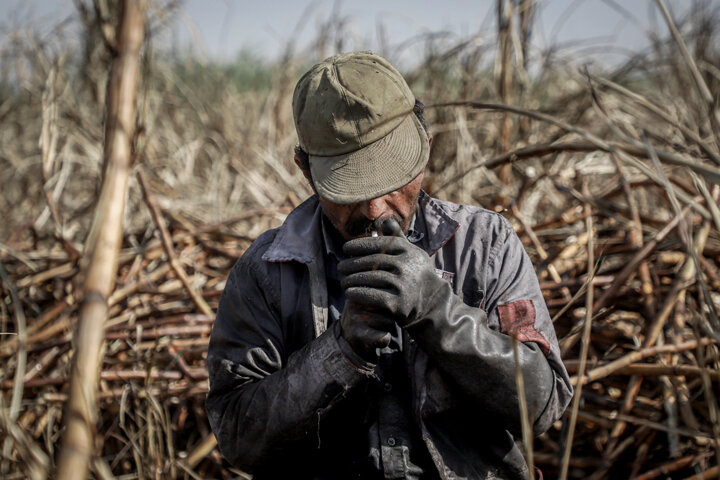 کارگران هفت تپه: آقاجان متشکریم
