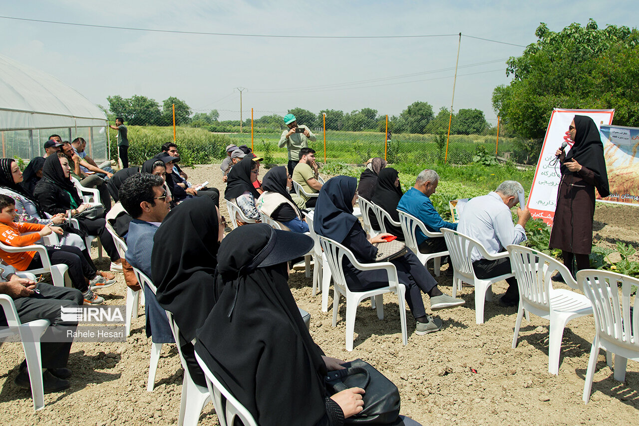 طرح تکام و تقویت تسهیل گران روستایی