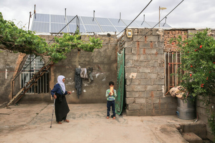 بومگردانها تمایلی برای تمدید مجوزهای خود ندارند