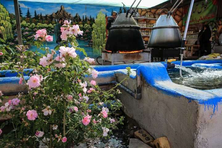 توسعه زنجیره ارزش و ثبت جهانی گل محمدی/ خامفروشی بازنگری شود