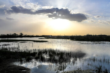 Laguna Salehiye en la provincia Alborz