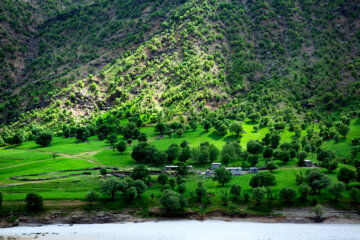 Beauté printanière de la rivière Bazoft dans le sud-ouest de l'Iran