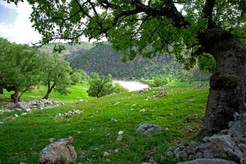 Beauté printanière de la rivière Bazoft dans le sud-ouest de l'Iran