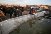 Water, a recurring nightmare in Iran's Sistan region