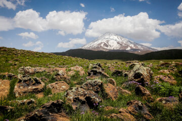 رهاسازی پرندگان در پارک ملی لار