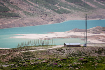 رهاسازی پرندگان در پارک ملی لار