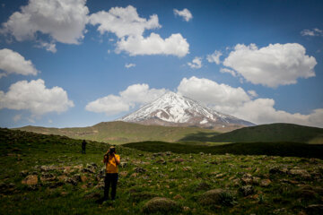 رهاسازی پرندگان در پارک ملی لار