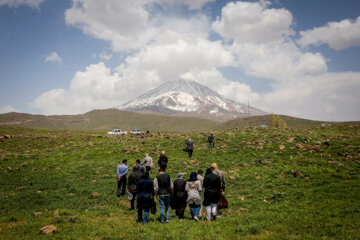 رهاسازی پرندگان در پارک ملی لار