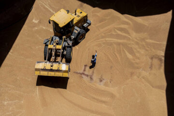تخلیه کشتی ۲۷ هزار تنی گندم در بندر بوشهر