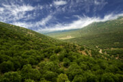  عروس دلربای زاگرس کجاست؟