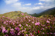 دمای هوا از امروز تا روز جمعه تا ۳ درجه گرم‌تر می‌شود