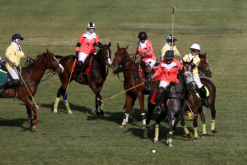 Compétitions nationales de polo féminin à Téhéran