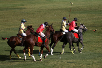 Compétitions nationales de polo féminin à Téhéran