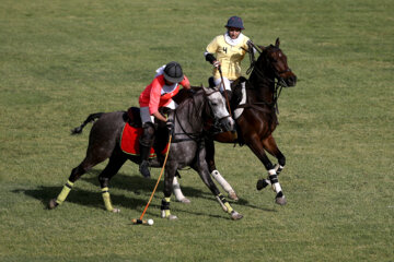 Compétitions nationales de polo féminin à Téhéran