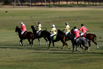 Compétitions nationales de polo féminin à Téhéran