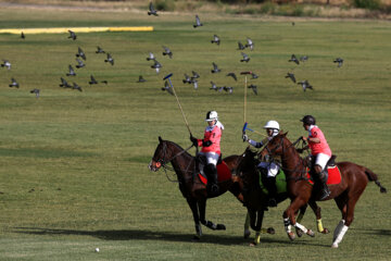 Compétitions nationales de polo féminin à Téhéran