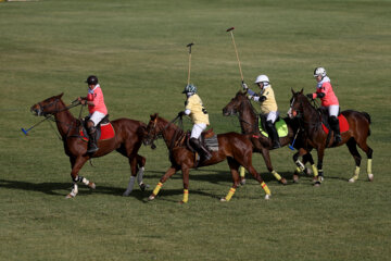 Compétitions nationales de polo féminin à Téhéran