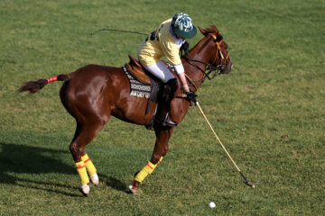 Compétitions nationales de polo féminin à Téhéran