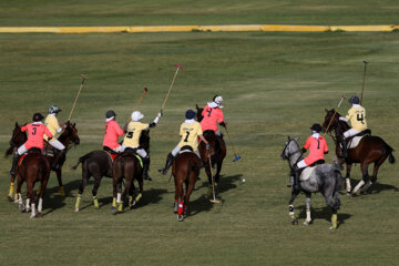 Compétitions nationales de polo féminin à Téhéran