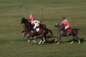 Compétitions nationales de polo féminin à Téhéran