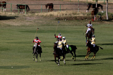 Compétitions nationales de polo féminin à Téhéran