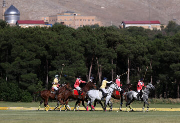 Compétitions nationales de polo féminin à Téhéran