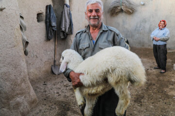 اردوی جهادی دامپزشکی در روستاهای کردستان