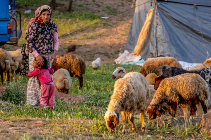سهم ۳۰ درصدی دستان هنرمند عشایر در اقتصاد صنایع دستی آذربایجانشرقی