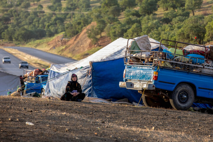 کوچ عشایر کهگیلویه وبویراحمد در ۱۵ نقطه رصد و مدیریت می شود