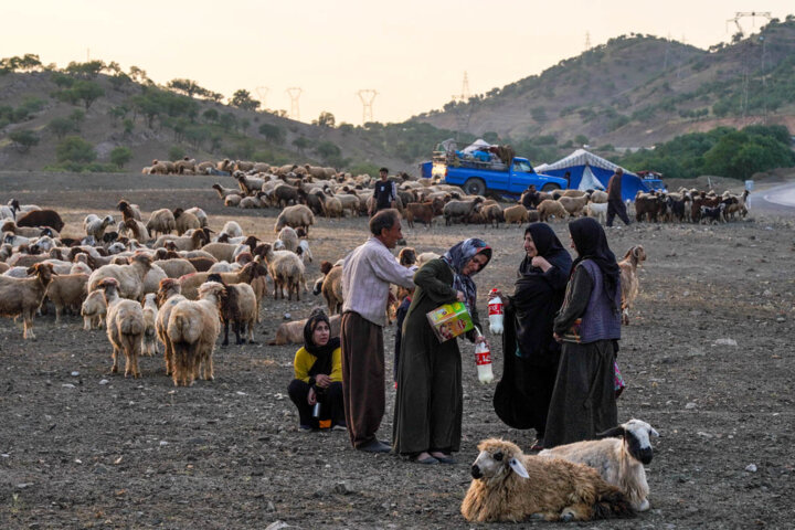 کوچ پاییزی عشایر پایتخت آغاز شده است