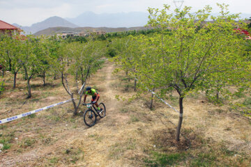 ترکیب تیم دوچرخه سواری  فارس برای شرکت در مسابقات کشوری مشخص شد
