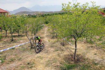 مسابقات دوچرخه سوای کوهستان (جام ژئوپارک ارس)