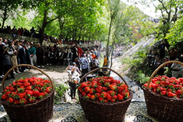 Festival de la fraise au Kurdistan iranien