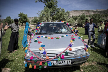 ماشین عروس به سبک محلی با شیردنگ های رنگارنگ آذین بندی شده است.