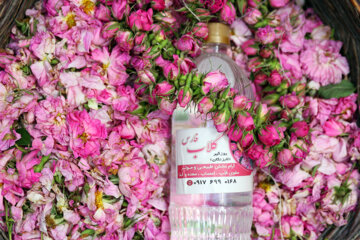 Festival de las flores y el agua de rosas en Darab