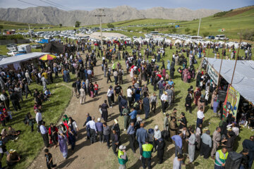 جشنواره ملی نخود