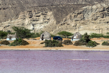 چابهار؛ بهشت جنوب ایران/ تالاب لیپار تنها تالاب صورتی ایران