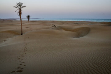 چابهار؛ بهشت جنوب ایران/ ساحل درک