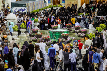 یا علی موسی الرضا؛ مولای عشق