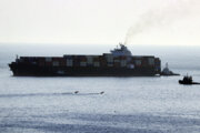 آمادگی کشتیرانی برای توسعه حمل دریایی در مسیرهای آمریکای لاتین